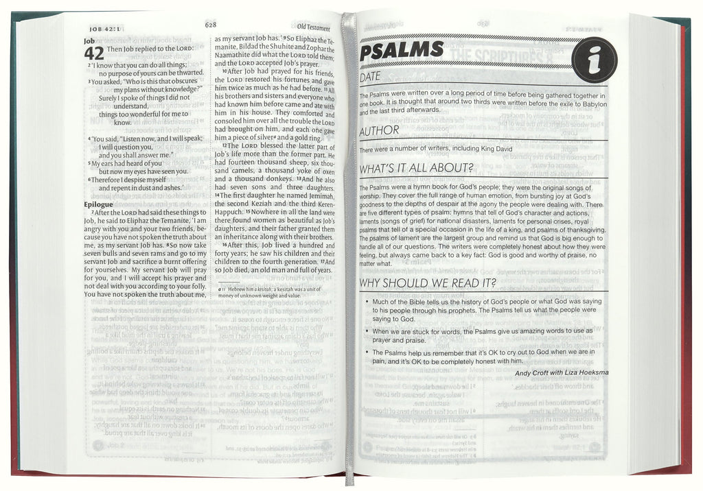 Reading and studying the NIV Anglicised Youth Bible