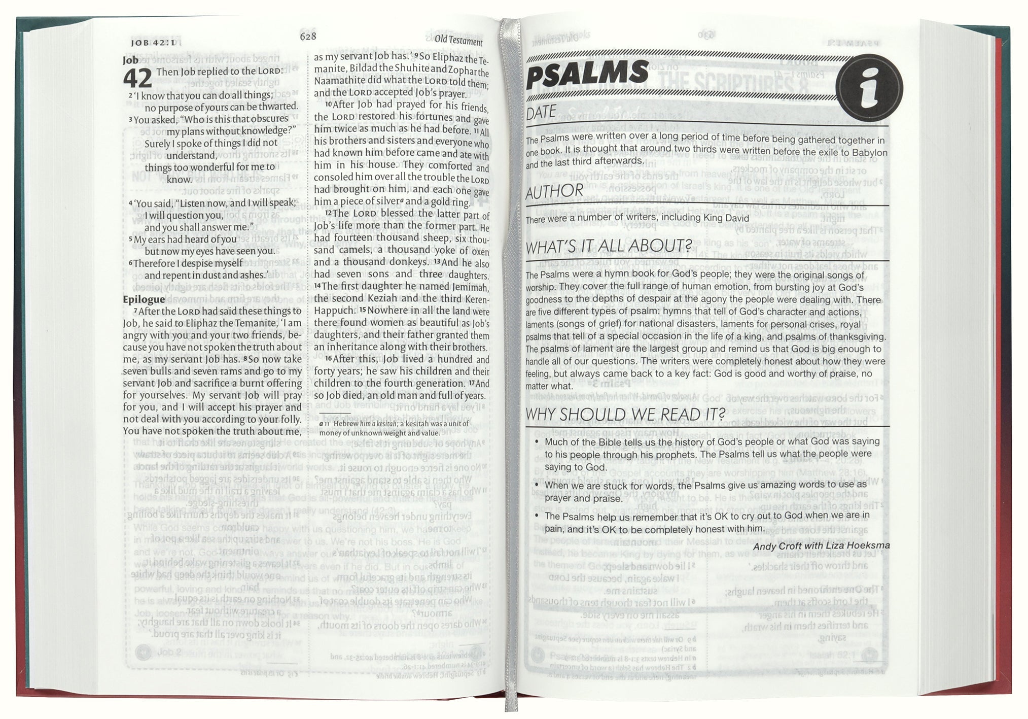 Reading and studying the NIV Anglicised Youth Bible