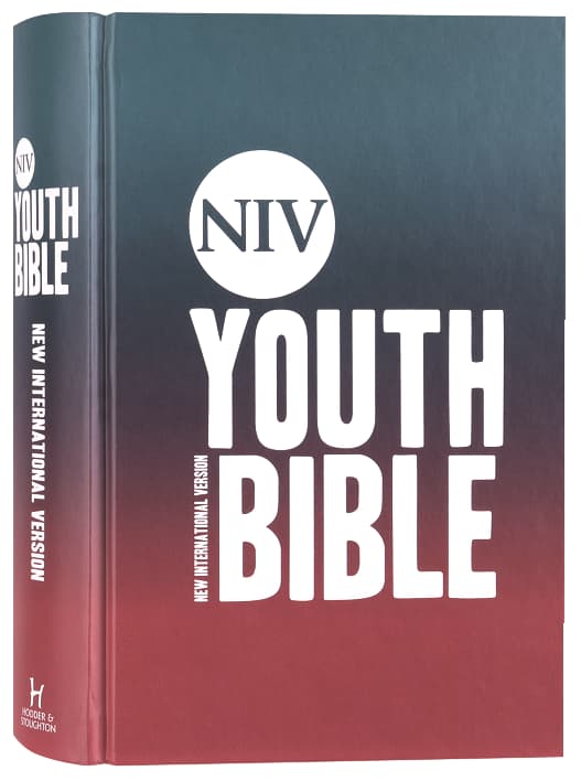 NIV Youth Bible Anglicised Text, inspirational scripture for young people