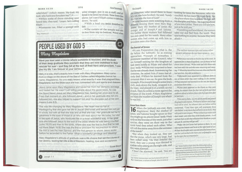 NIV Youth Bible (Anglicised Text)