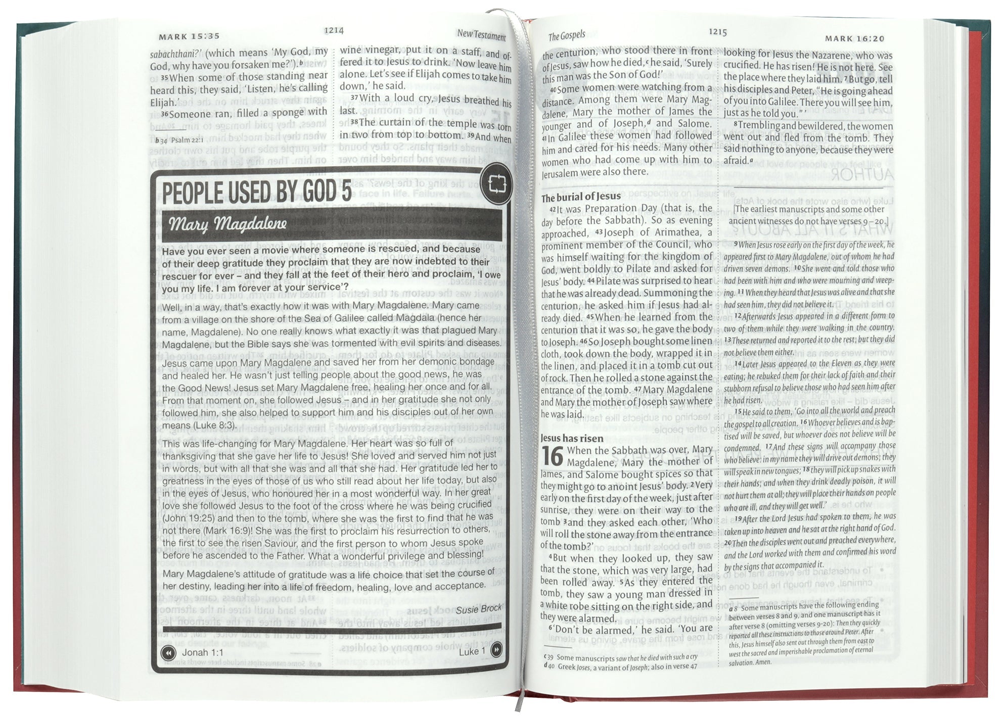NIV Youth Bible (Anglicised Text)
