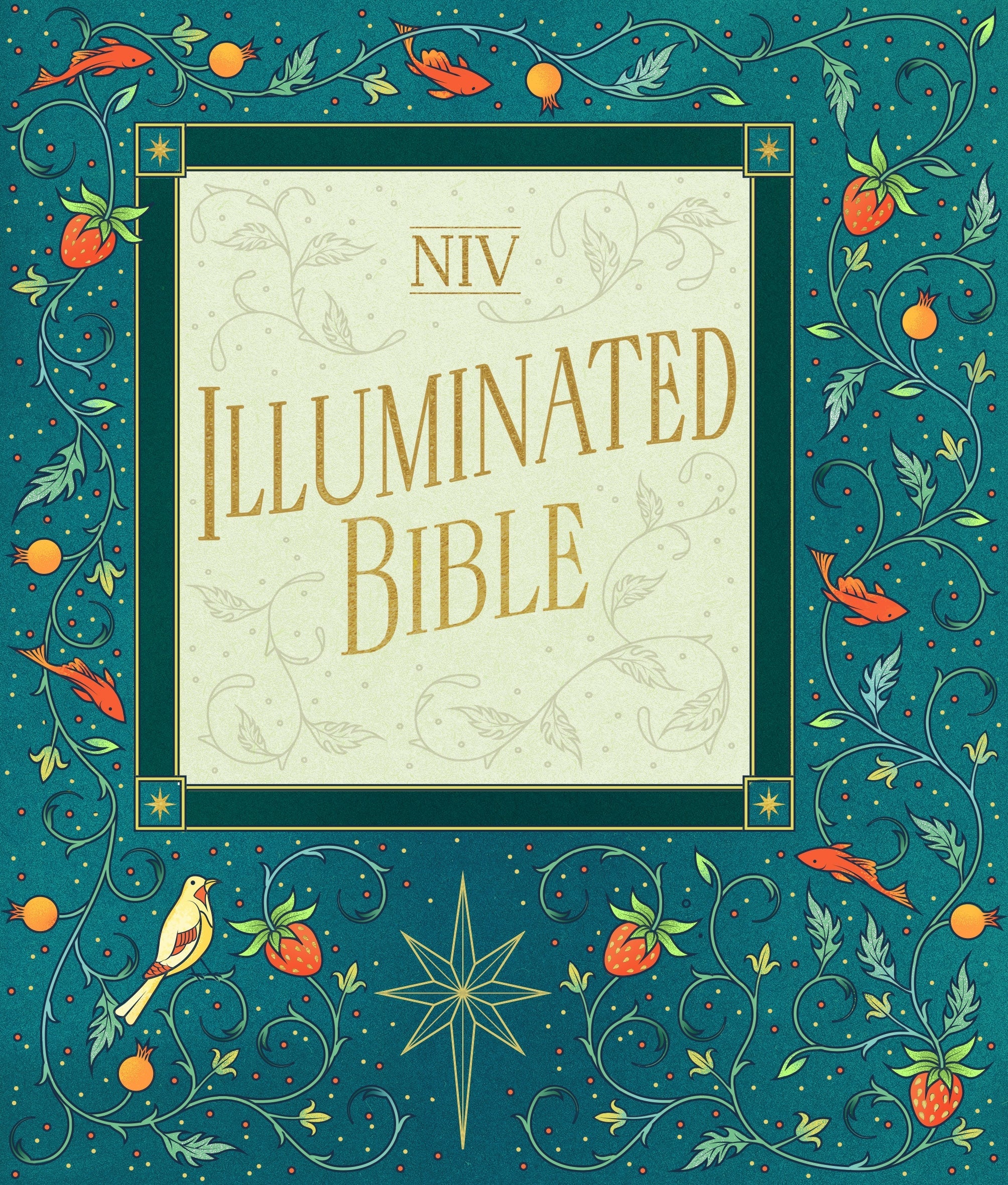 NIV Illuminated Bible