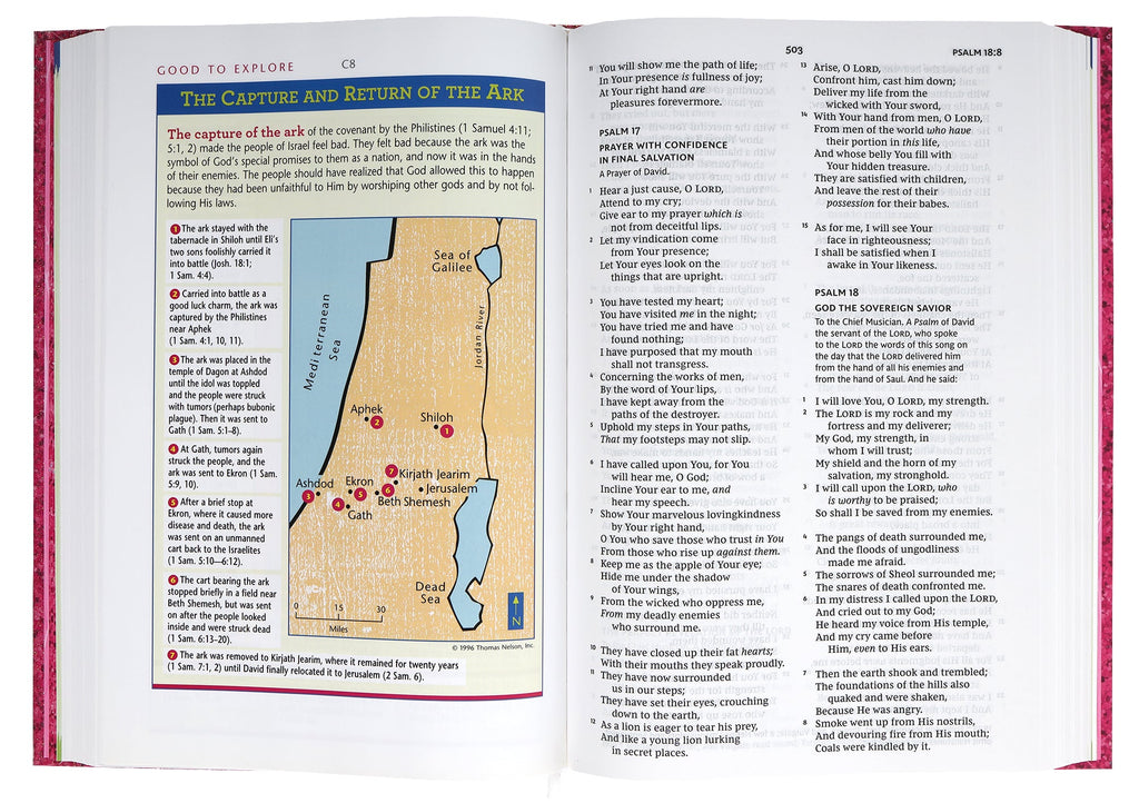 Inside pages of the NKJV Early Readers Bible, featuring kid-friendly content