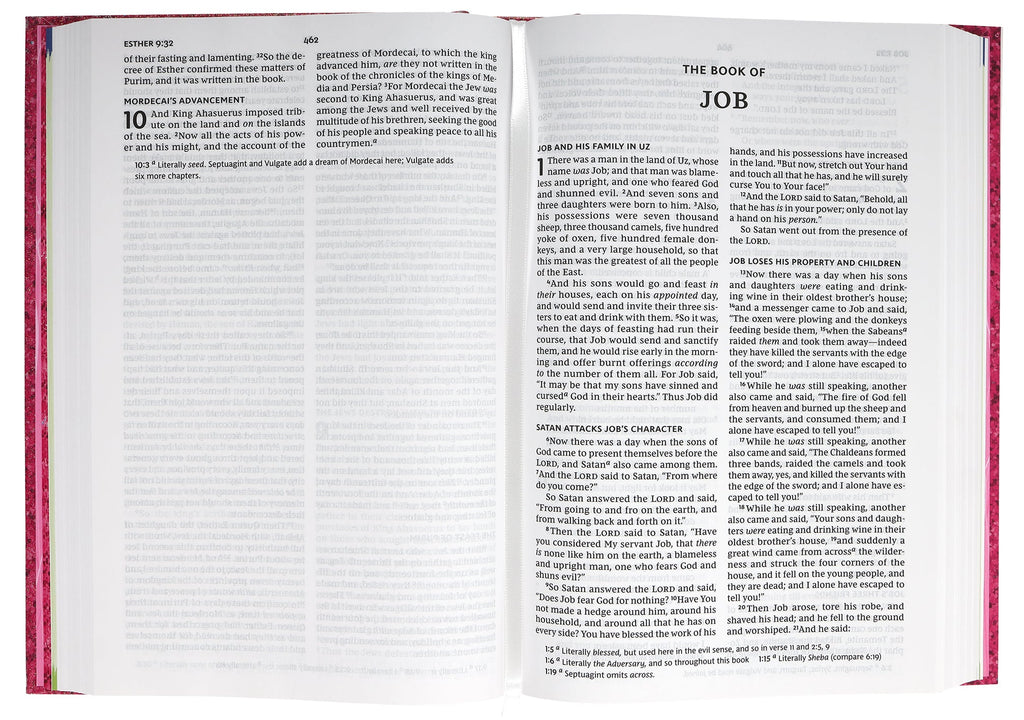 Close-up of the NKJV Early Readers Bible cover, designed for kids to read