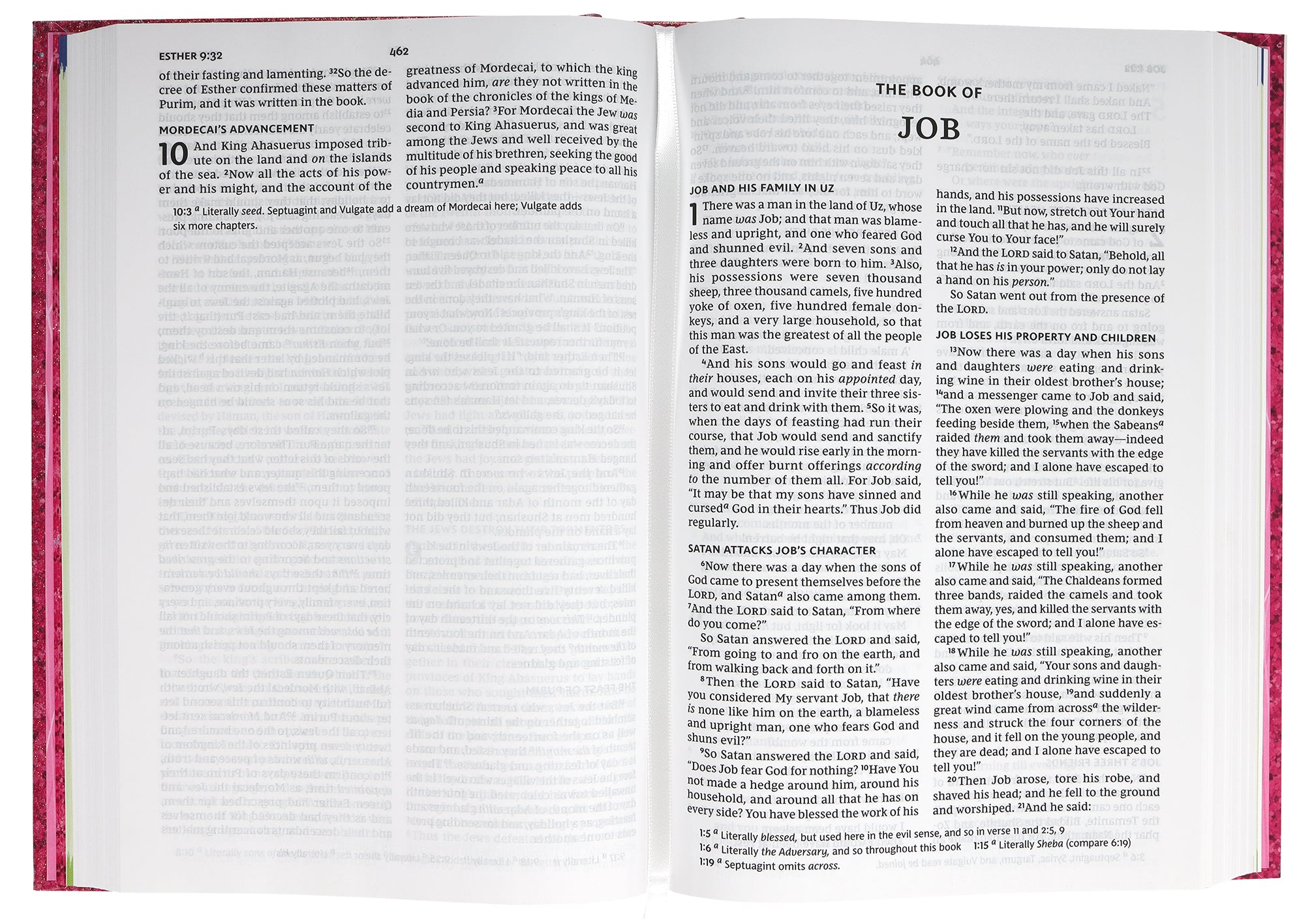 Close-up of the NKJV Early Readers Bible cover, designed for kids to read