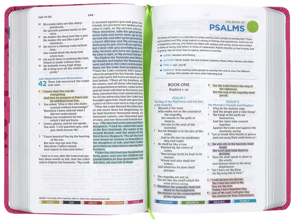 NKJV Color Coded Bible for Kids, includes learning tools and colorful design, pink leather cover.