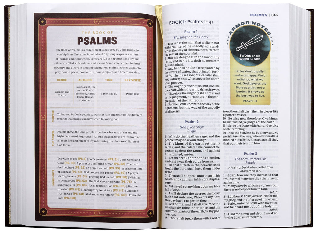KJV Armor of God Bible, Red Letter Edition, a Bible for daily reading and reflection
