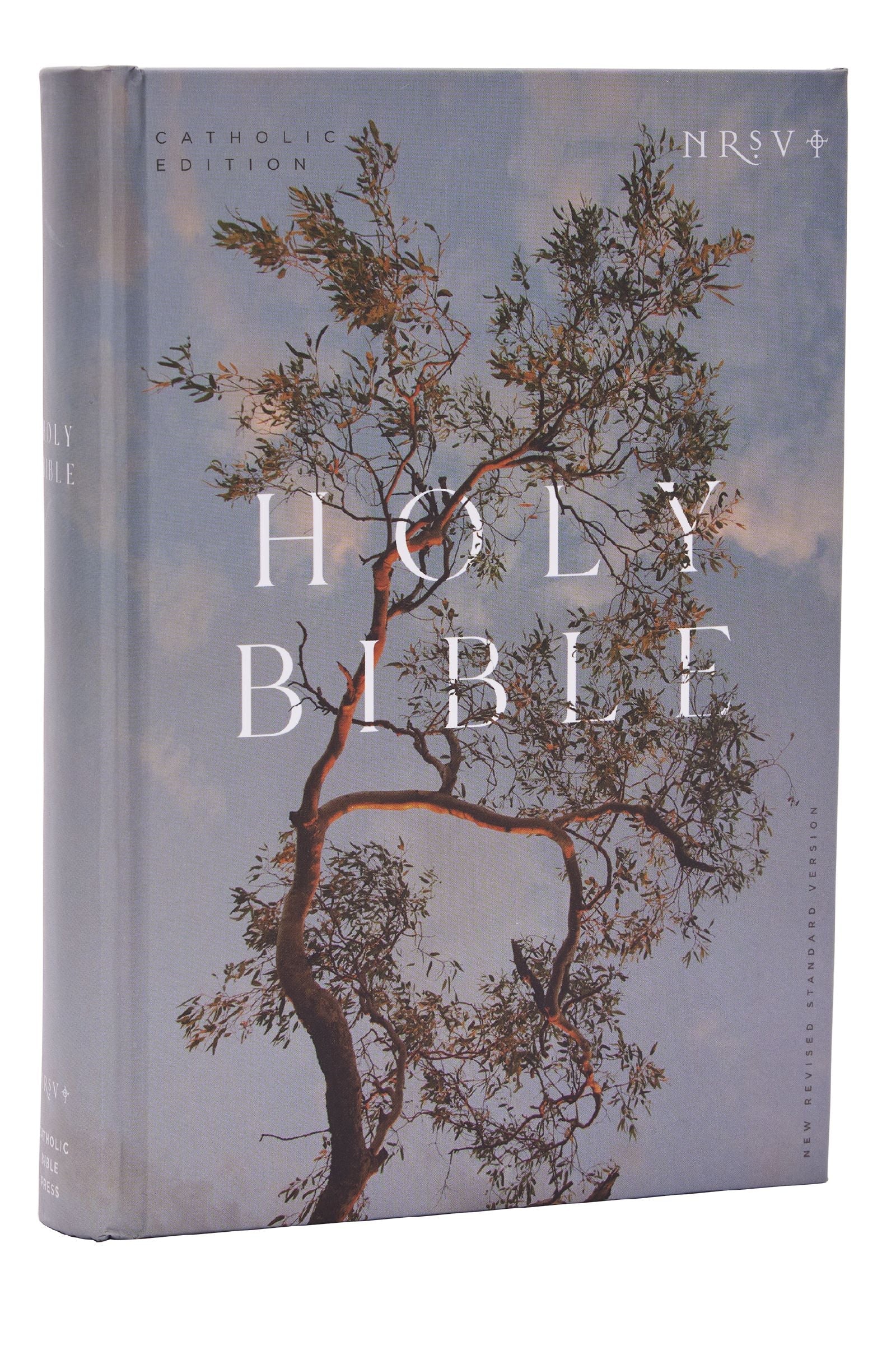 NRSV Catholic Edition Bible with eucalyptus cover and Anglicised text