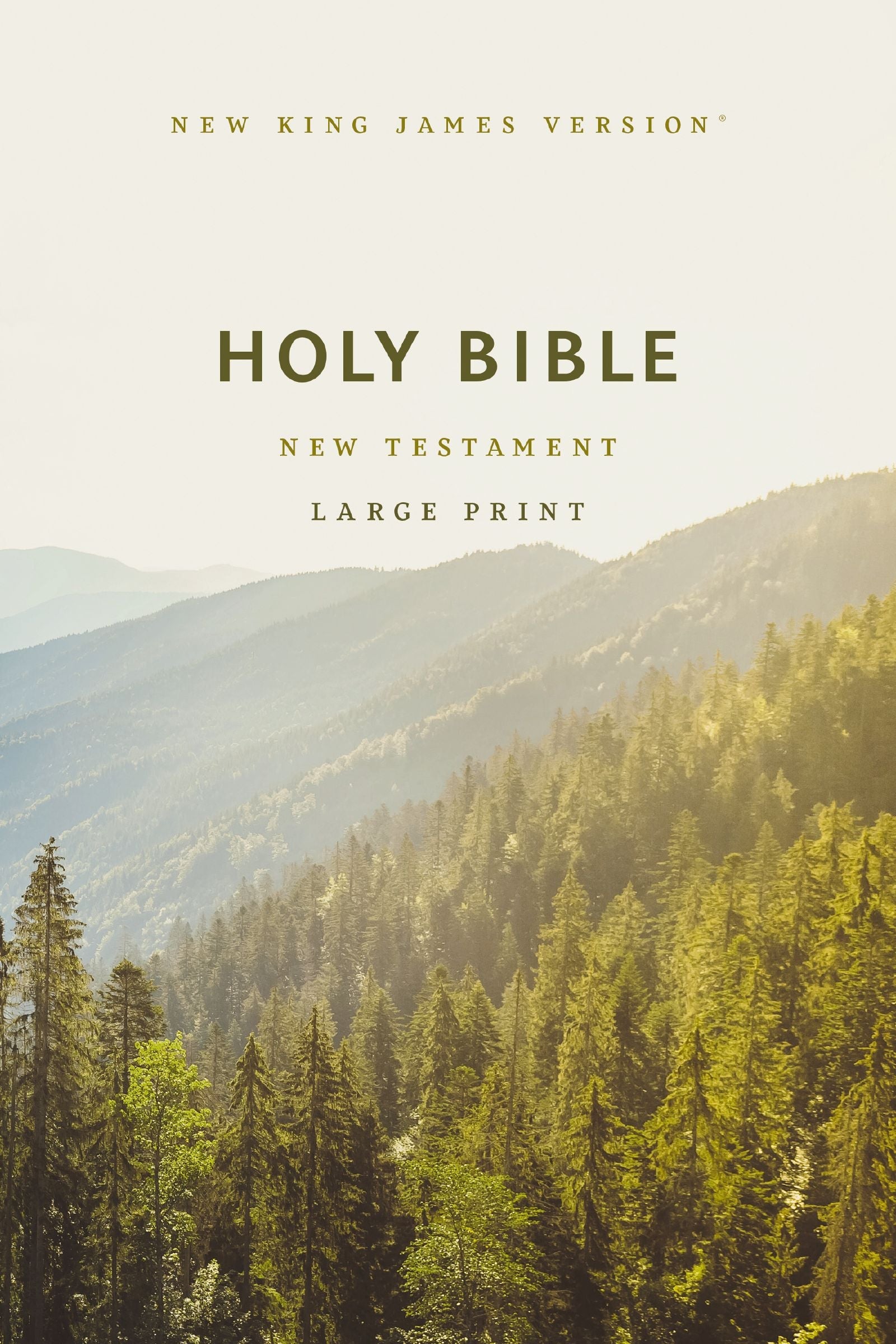 NKJV Large Print Outreach New Testament Bible, Scenic