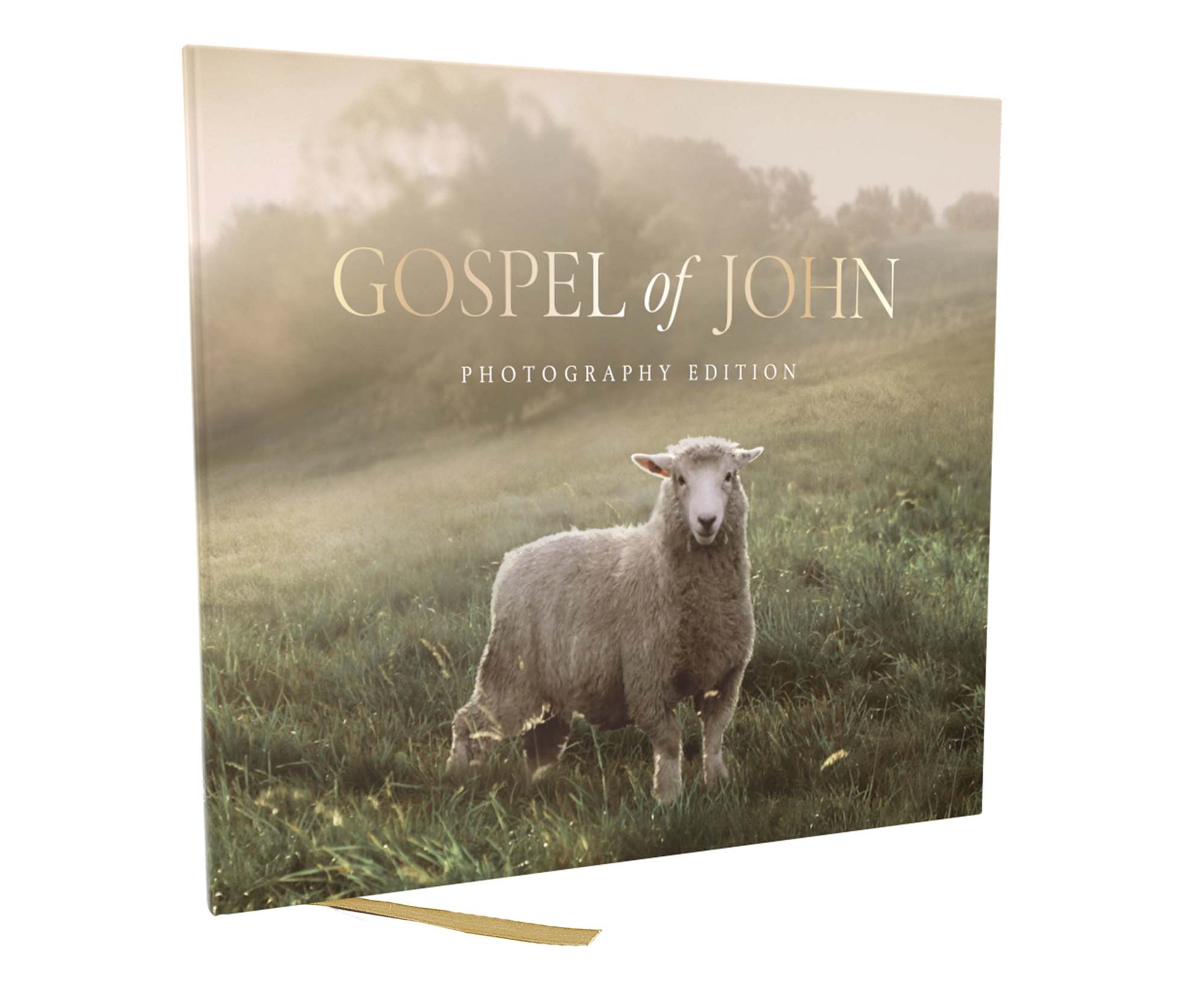NKJV Gospel of John photography edition Bible online