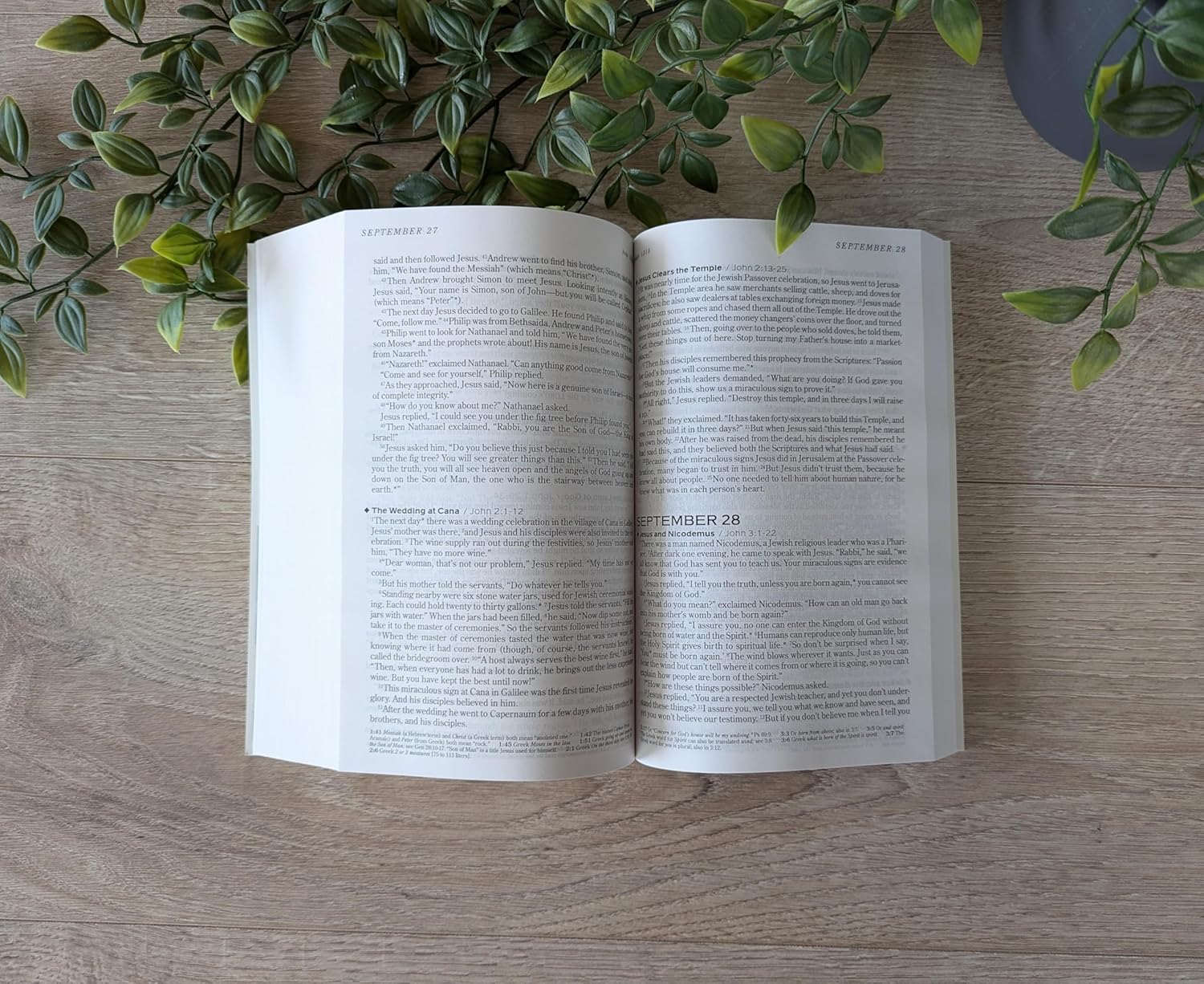 Buy NLT Bibles online: Chronological Black Letter Bible edition (2nd edition)