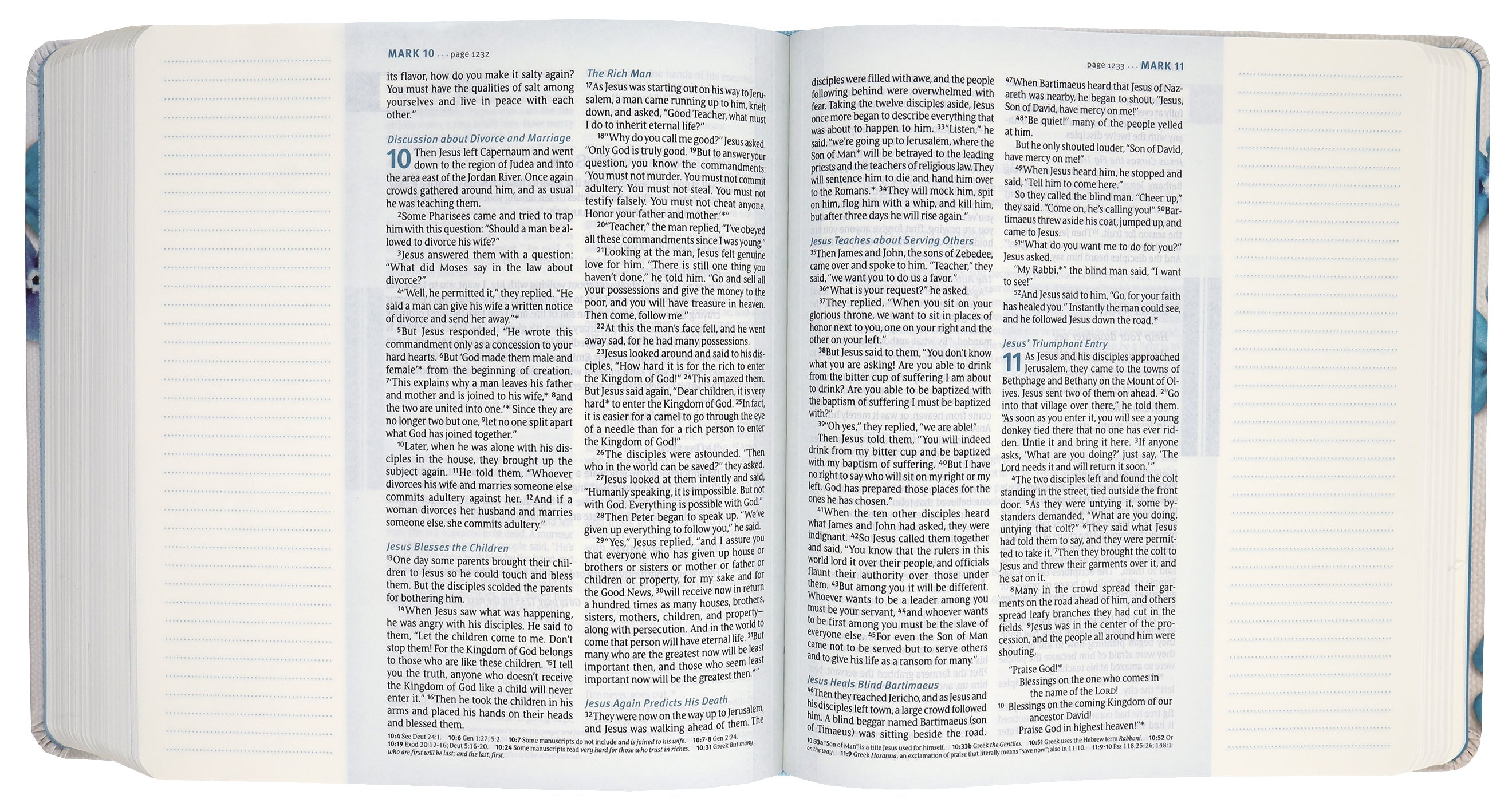 NLT Thrive Devotional Bible featuring Blue Flowers and Black Letter