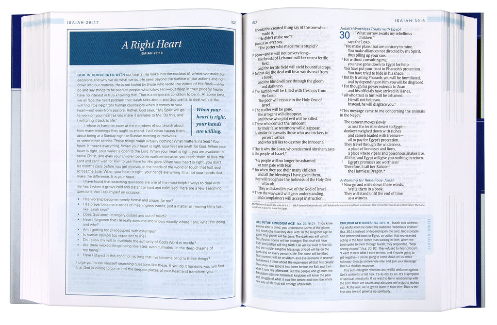 NLT Swindoll Study Bible, brown and teal cover design