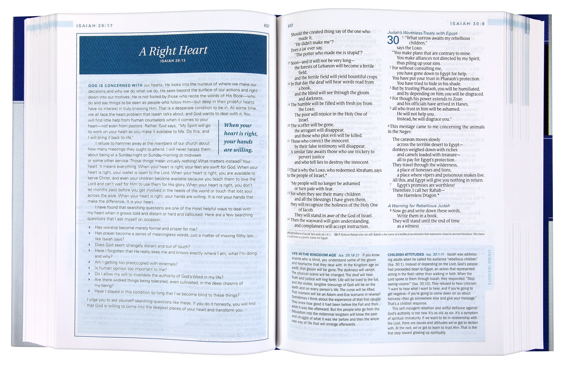 NLT Swindoll Study Bible, brown and teal cover design