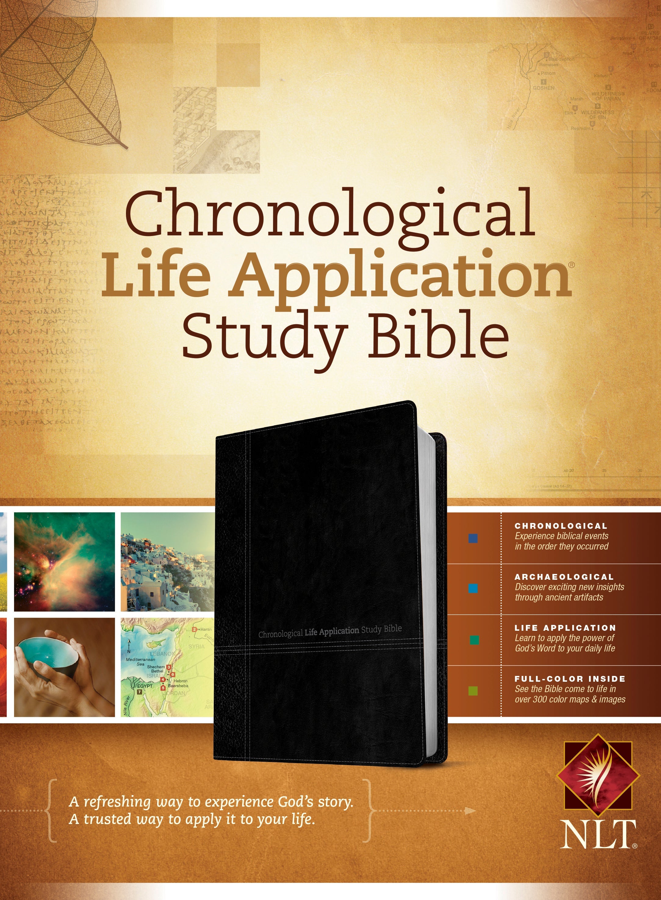 Black Letter Edition NLT Chronological Life Application Study Bible in onyx leather