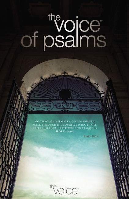 The Voice of Psalms Complete Study Bible for Men, Personal Size Imit. Tone