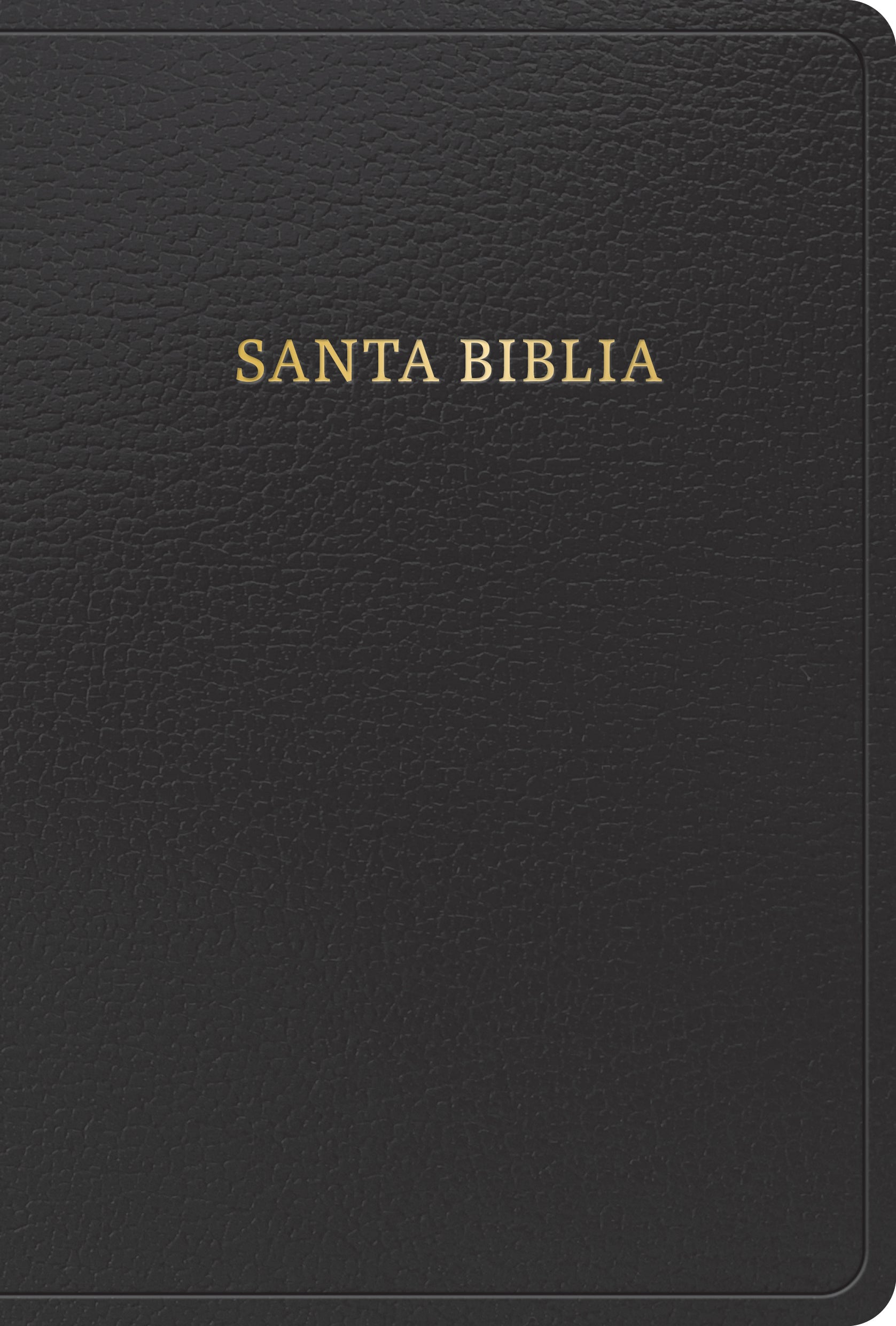 Spanish Edition of the Global Language Bible, New Version International 2023