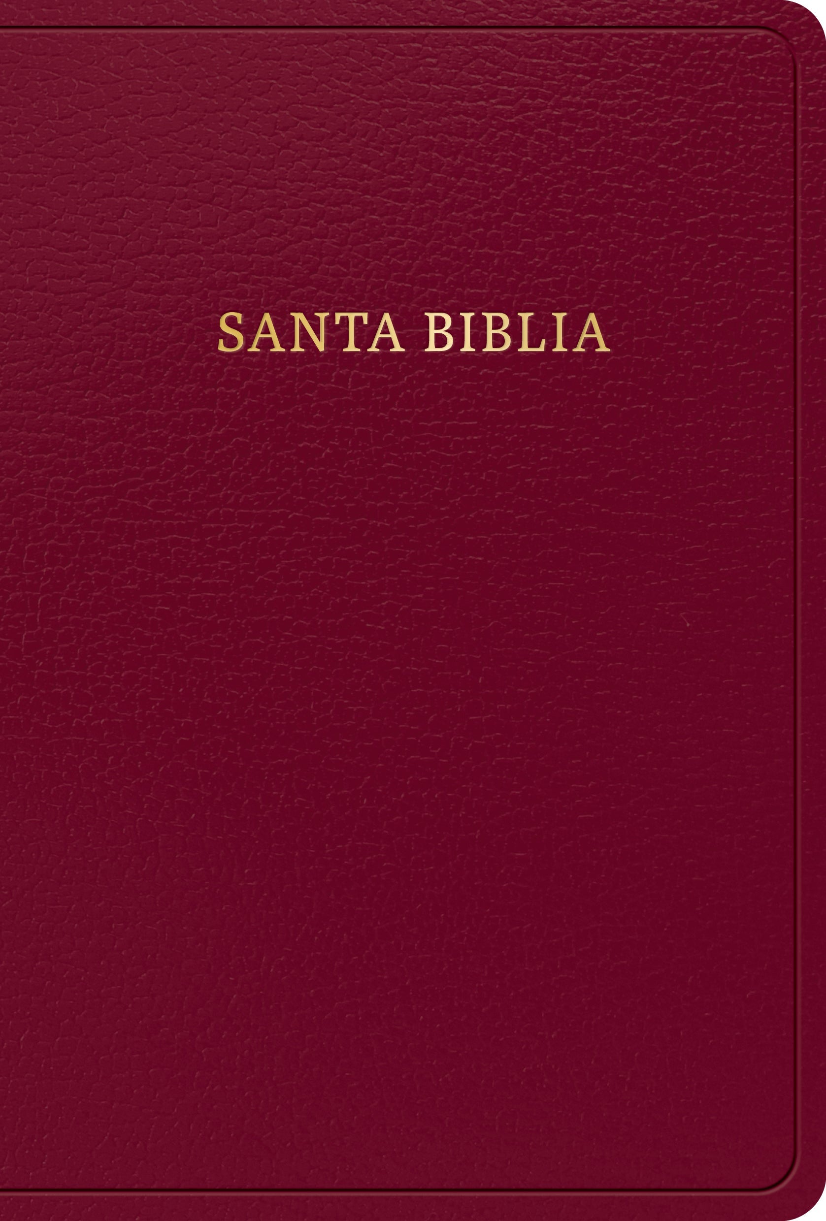 Rvr 1960 Biblia Letra Grande Tamano Manual Borgona (Red Letter Edition) (Edicion 2023)