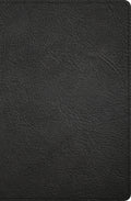 Elevate your devotion with the CSB Personal Size Giant Print Bible, a luxurious red letter edition featuring large print and 