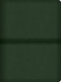 CSB Men's Daily Bible Olive (Black Letter Edition)