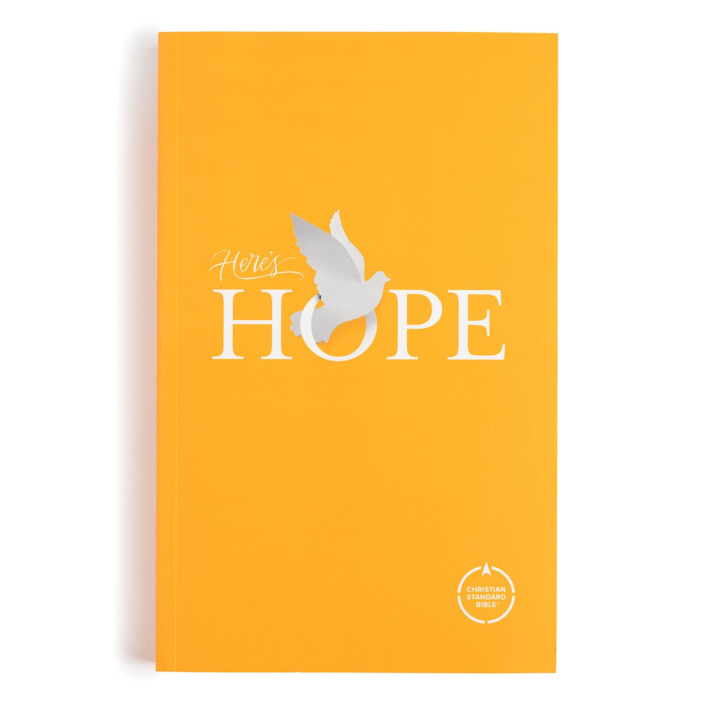 Experience a deeper connection with the CSB Christian Standard Bible, a premium Bible for the discerning.