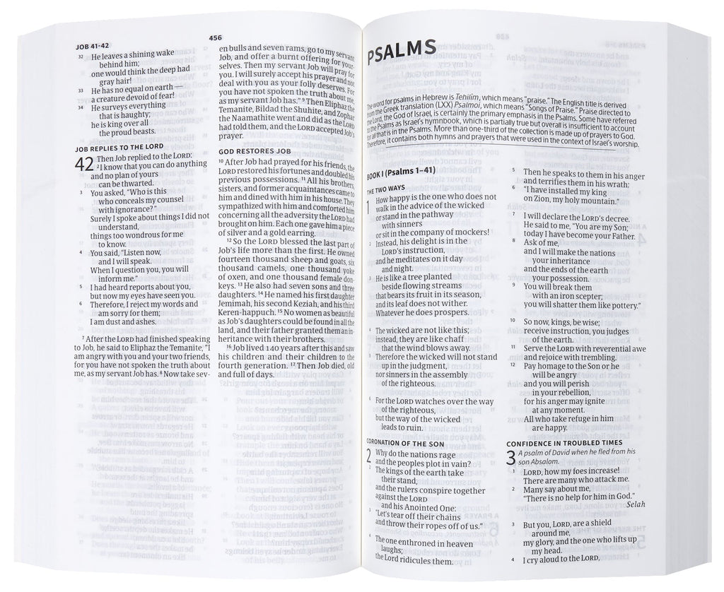 Elevate your spiritual journey with the CSB Christian Standard Bible, a premium Bible for the faithful.