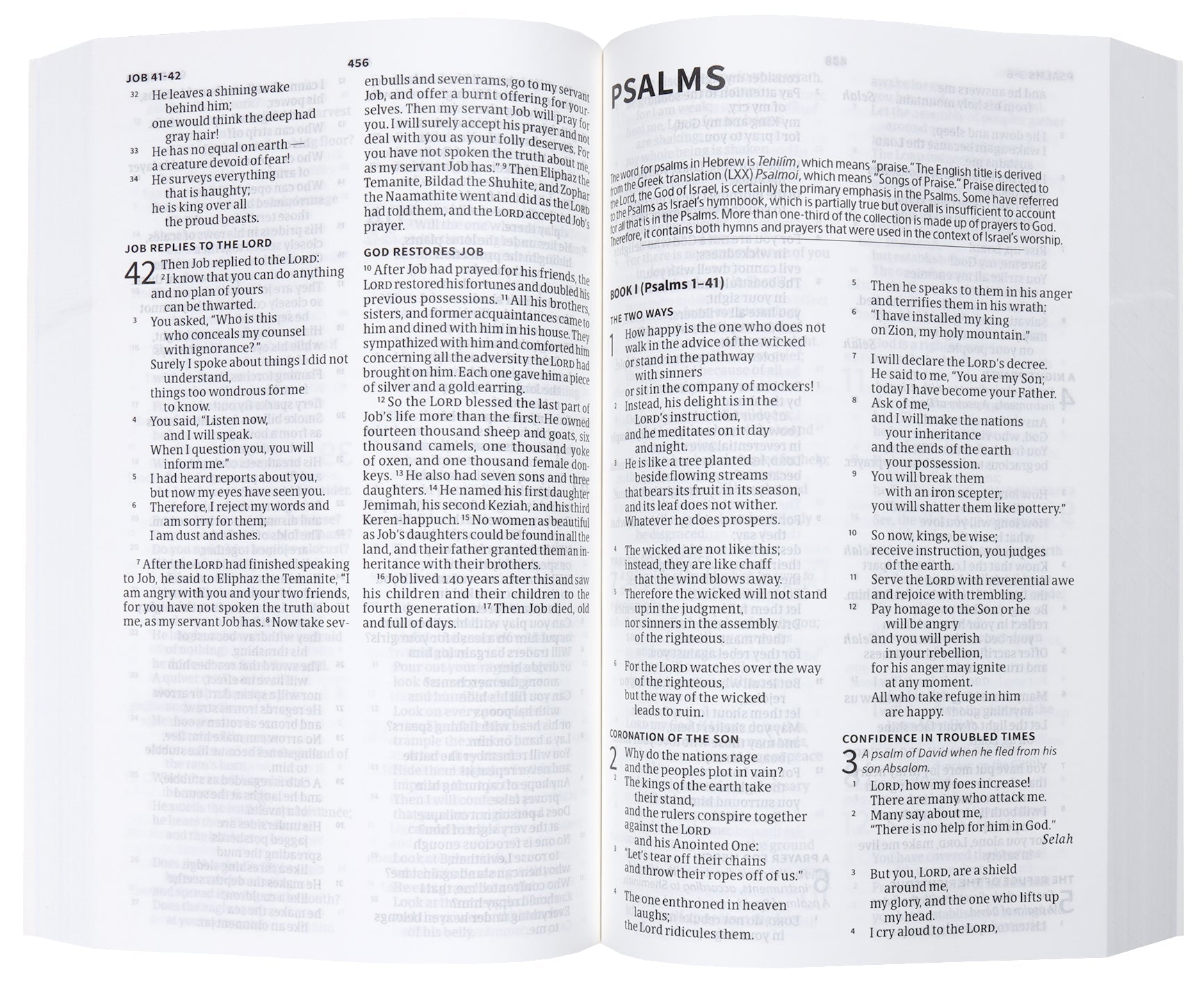 Elevate your spiritual journey with the CSB Christian Standard Bible, a premium Bible for the faithful.