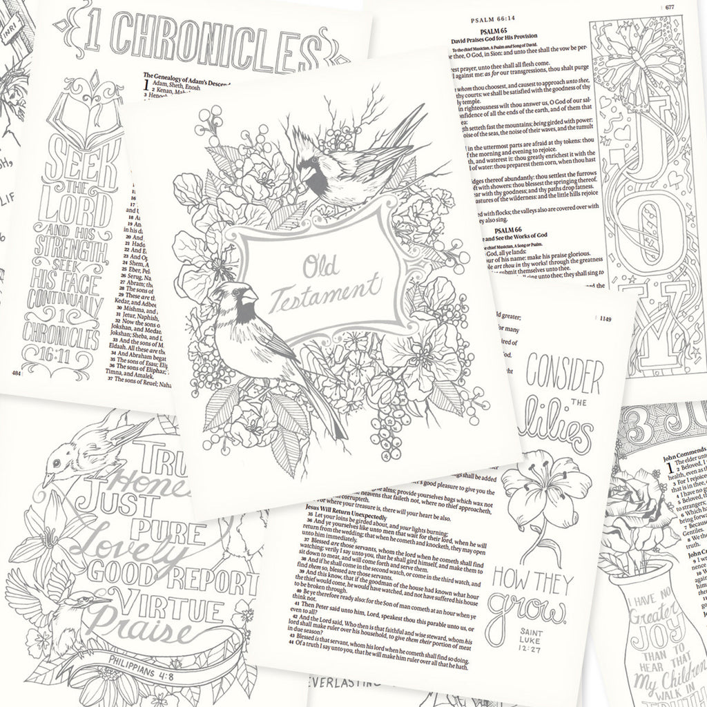 Back cover of Pink KJV My Creative Bible with Black Letter Edition, featuring its black letter edition