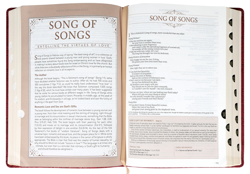 NLT Spiritual Growth Bible Berry Indexed