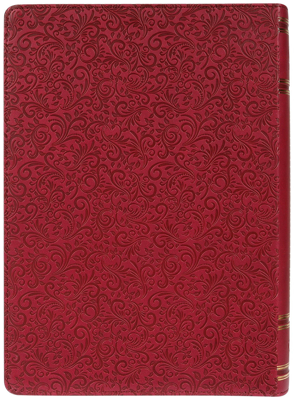 NLT Spiritual Growth Bible Berry Indexed