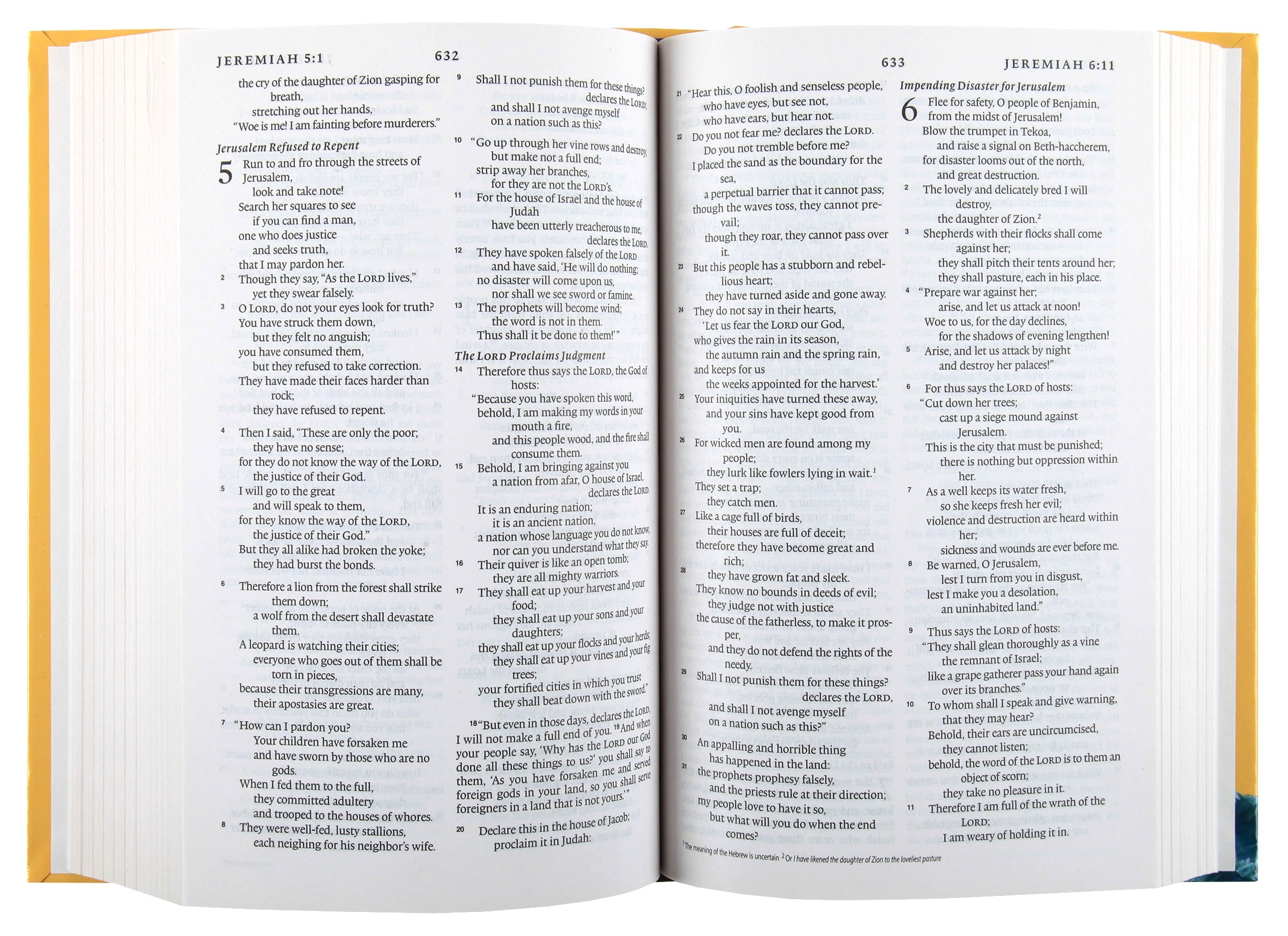 ESV Holy Bible for Kids, a kids' Bible with Black Letter Edition text
