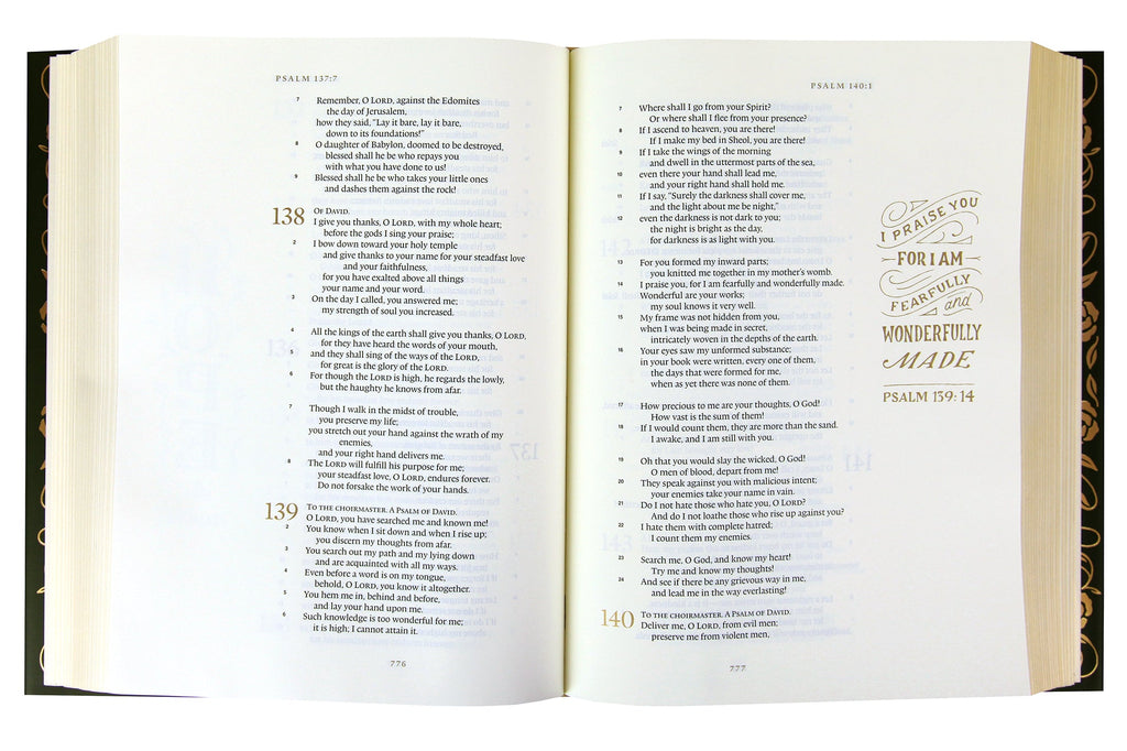 Illuminated ESV Bible Art Journaling Edition with green cover and paper dust jacket