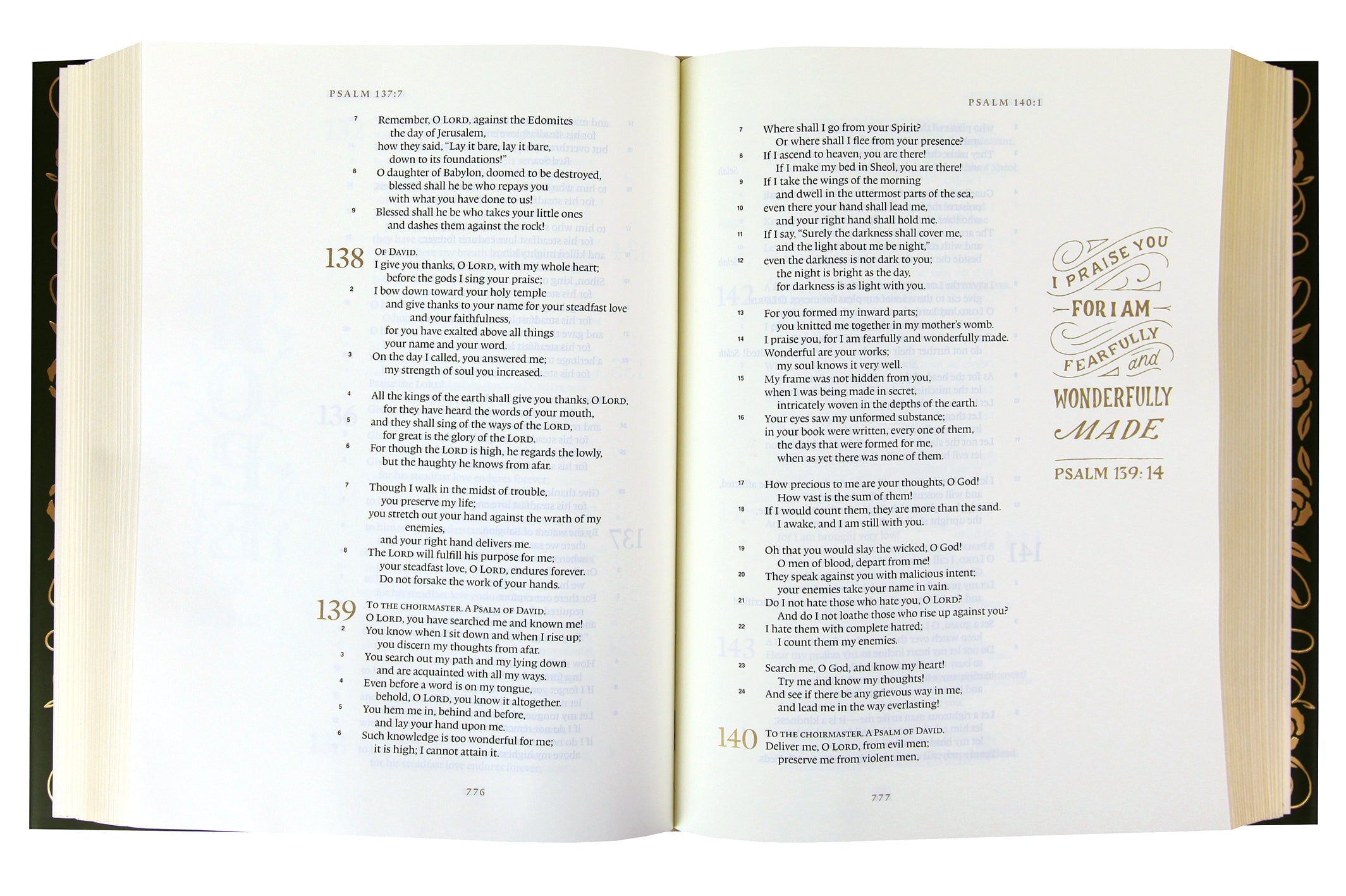 Illuminated ESV Bible Art Journaling Edition with green cover and paper dust jacket