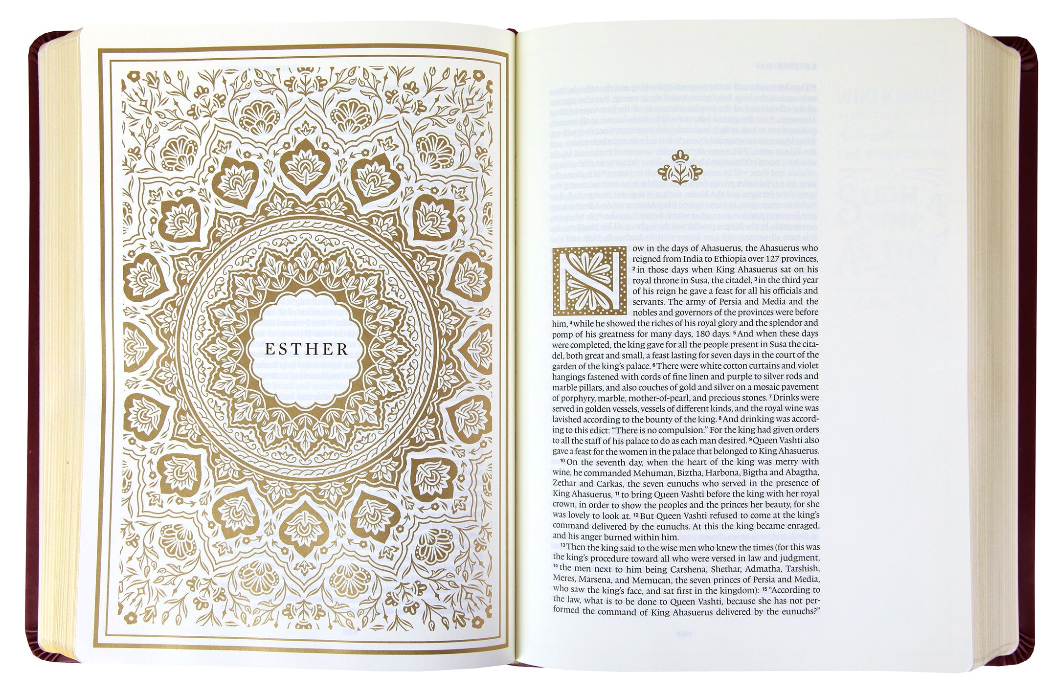 Close-up of the ESV Illuminated Bible Art Journaling Edition Black Letter, Burgundy Leather