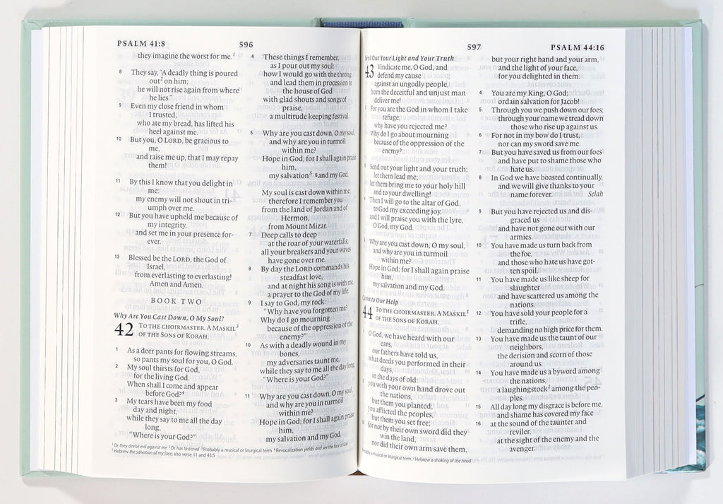 Front cover of the ESV Holy Bible for Kids Compact in Black Letter Edition