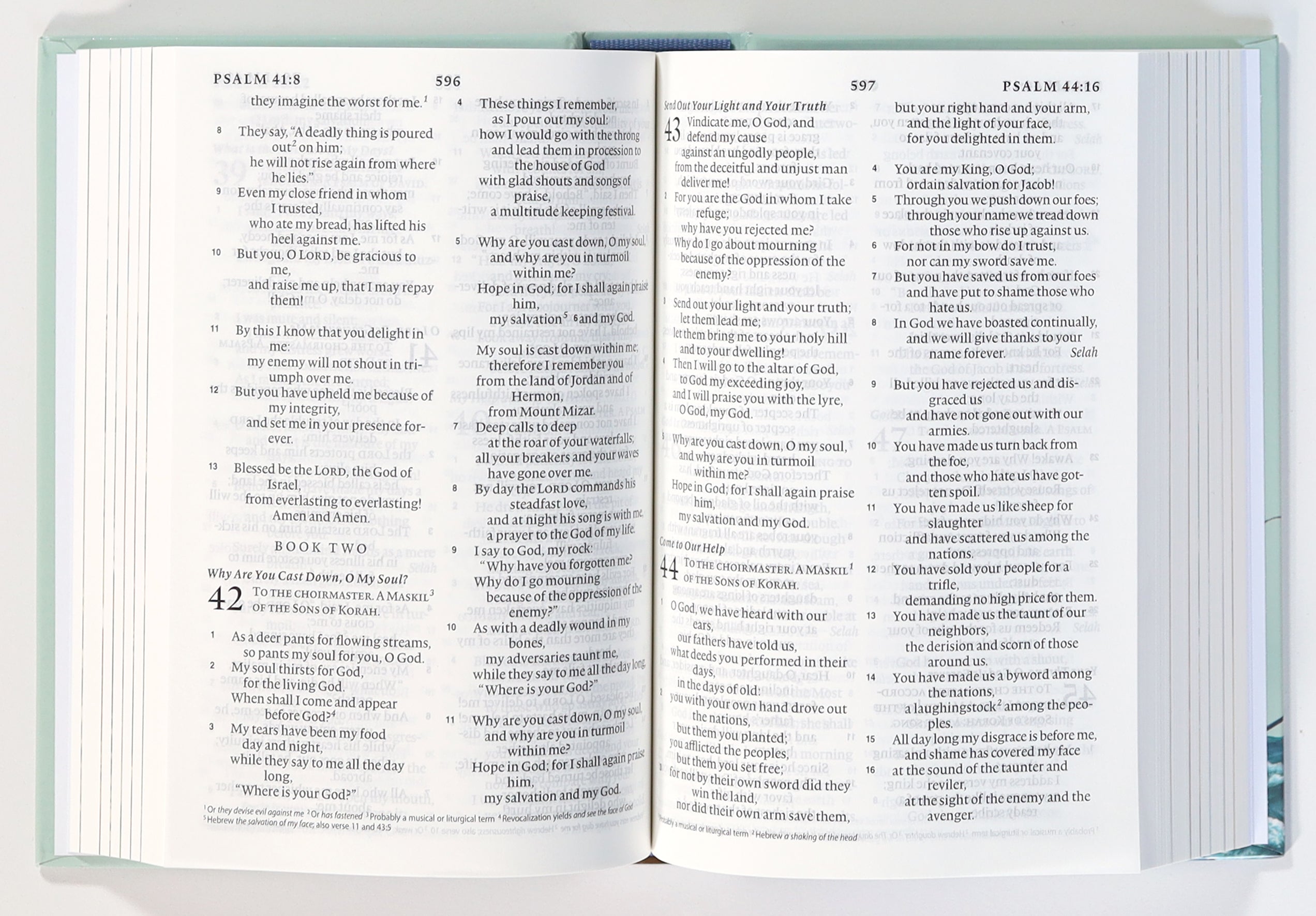 Front cover of the ESV Holy Bible for Kids Compact in Black Letter Edition