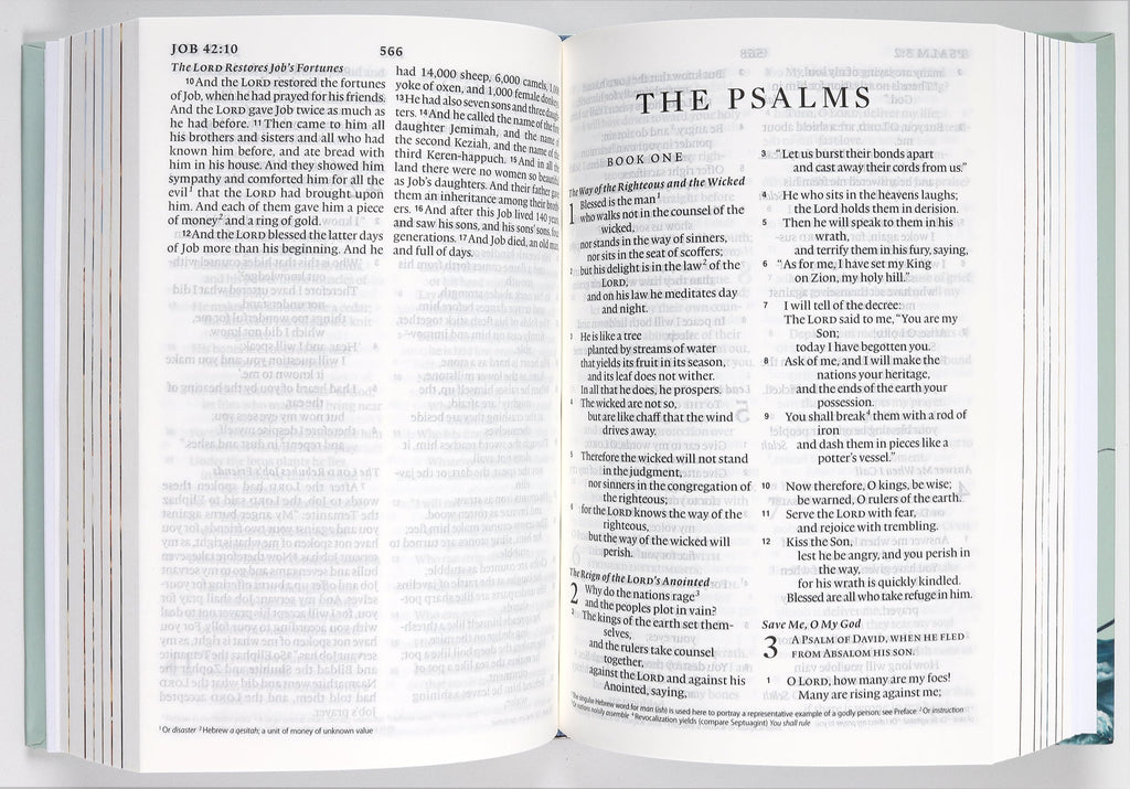 Inside pages of the ESV Holy Bible for Kids Compact in Black Letter Edition