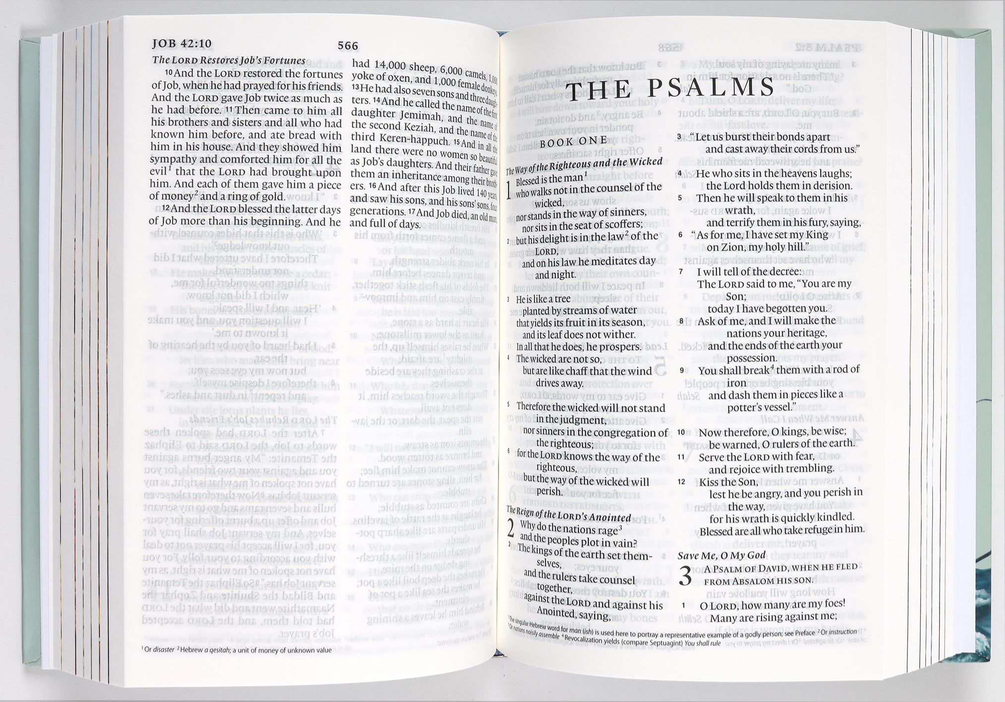 Inside pages of the ESV Holy Bible for Kids Compact in Black Letter Edition