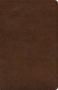 ESV Spanish/English Parallel Bible Brown (Black Letter Edition) (La Santa Biblia Rvr / The Holy Bible Esv)
