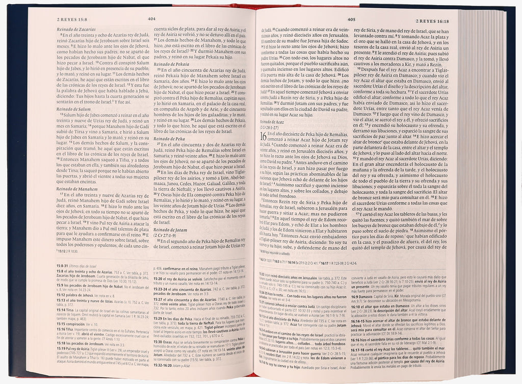 Spanish Language Bible NVI Edition with concise study notes in black letter format
