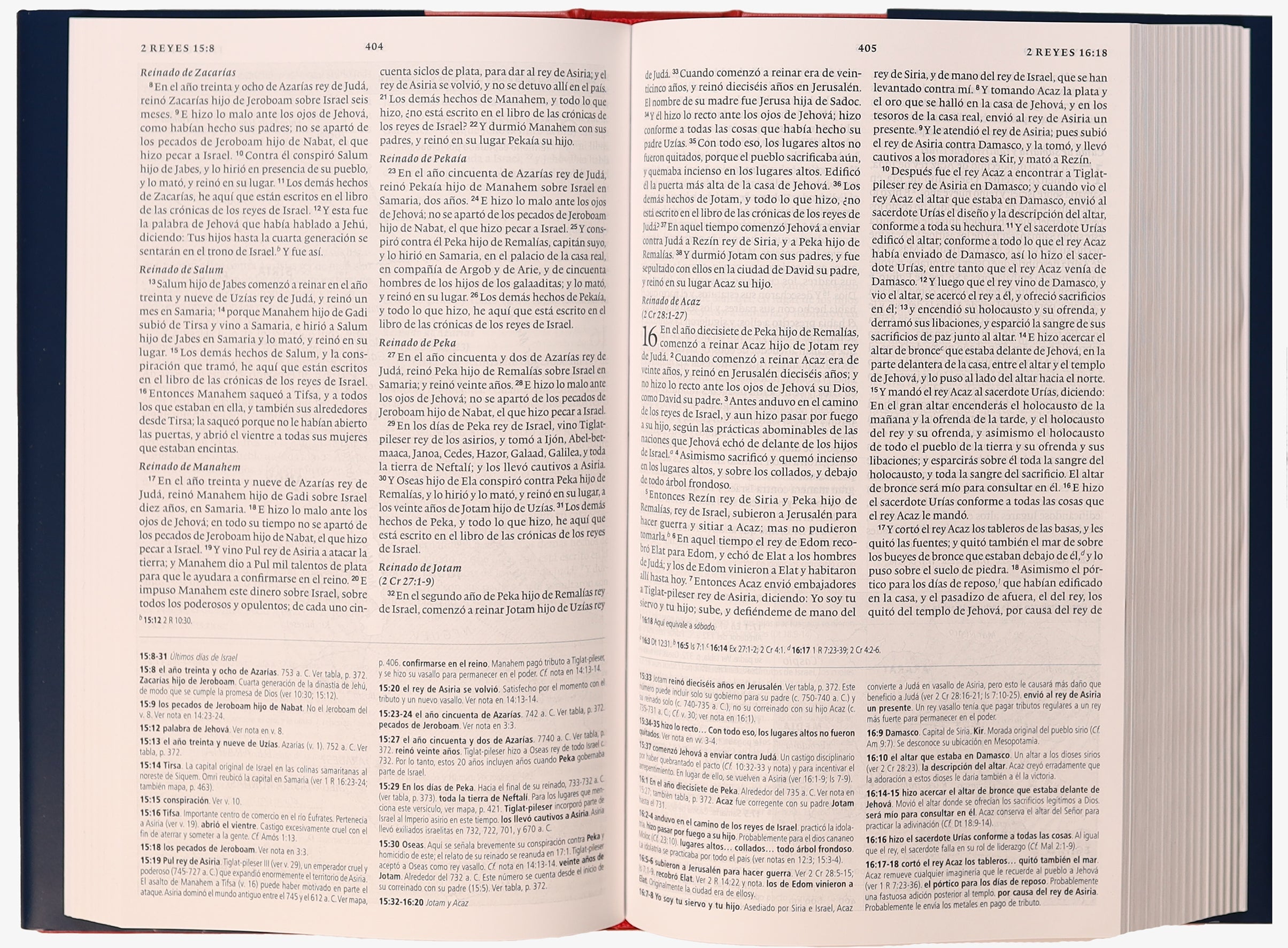 Spanish Language Bible NVI Edition with concise study notes in black letter format
