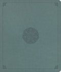 ESV Devotional and Journaling Bible with Paris Sky design and black letter edition