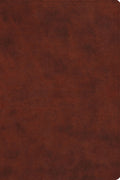 ESV Everyday Gospel Bible: Connecting Scripture to All of Life, Chestnut Bible Cover