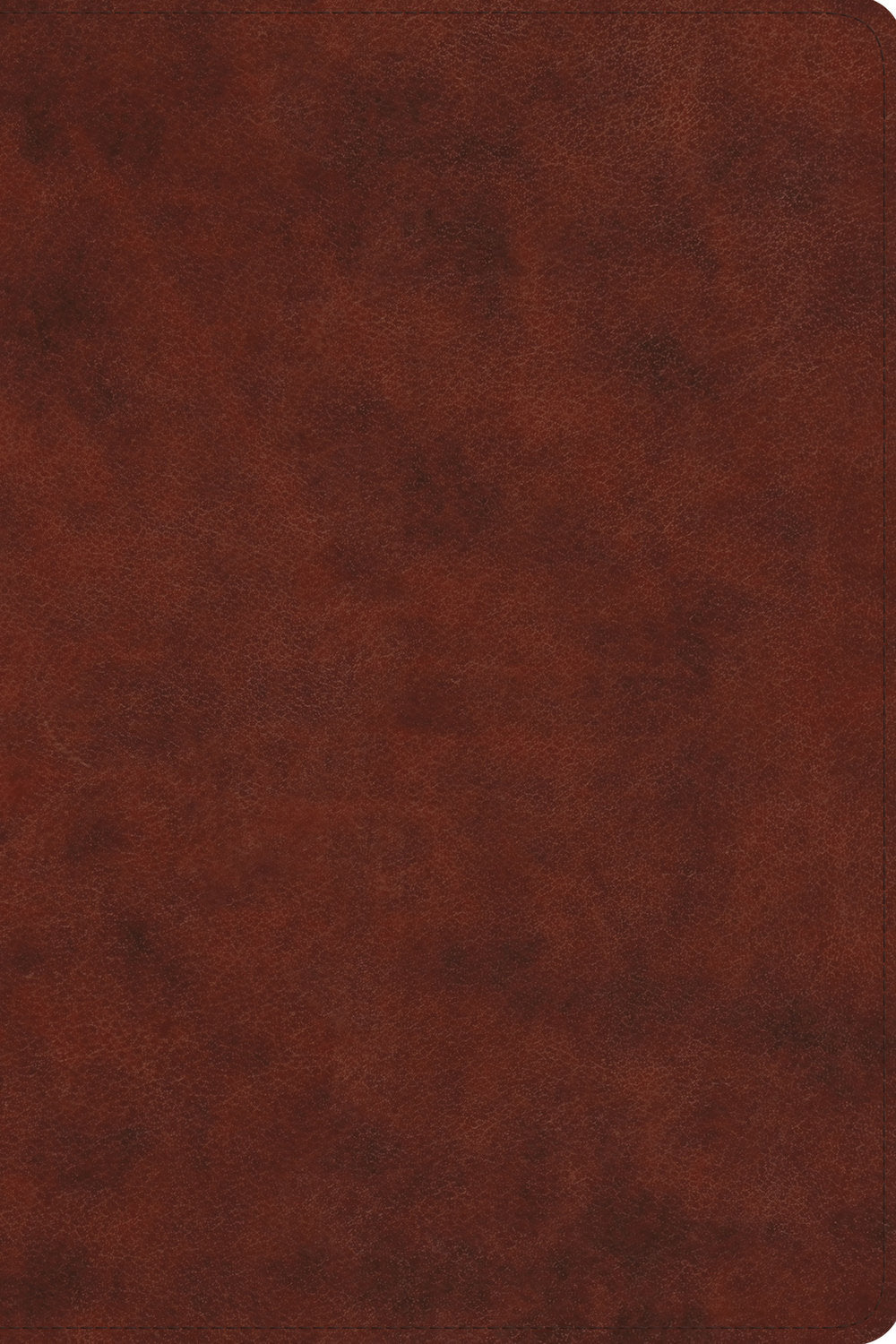ESV Everyday Gospel Bible: Connecting Scripture to All of Life, Chestnut Bible Cover
