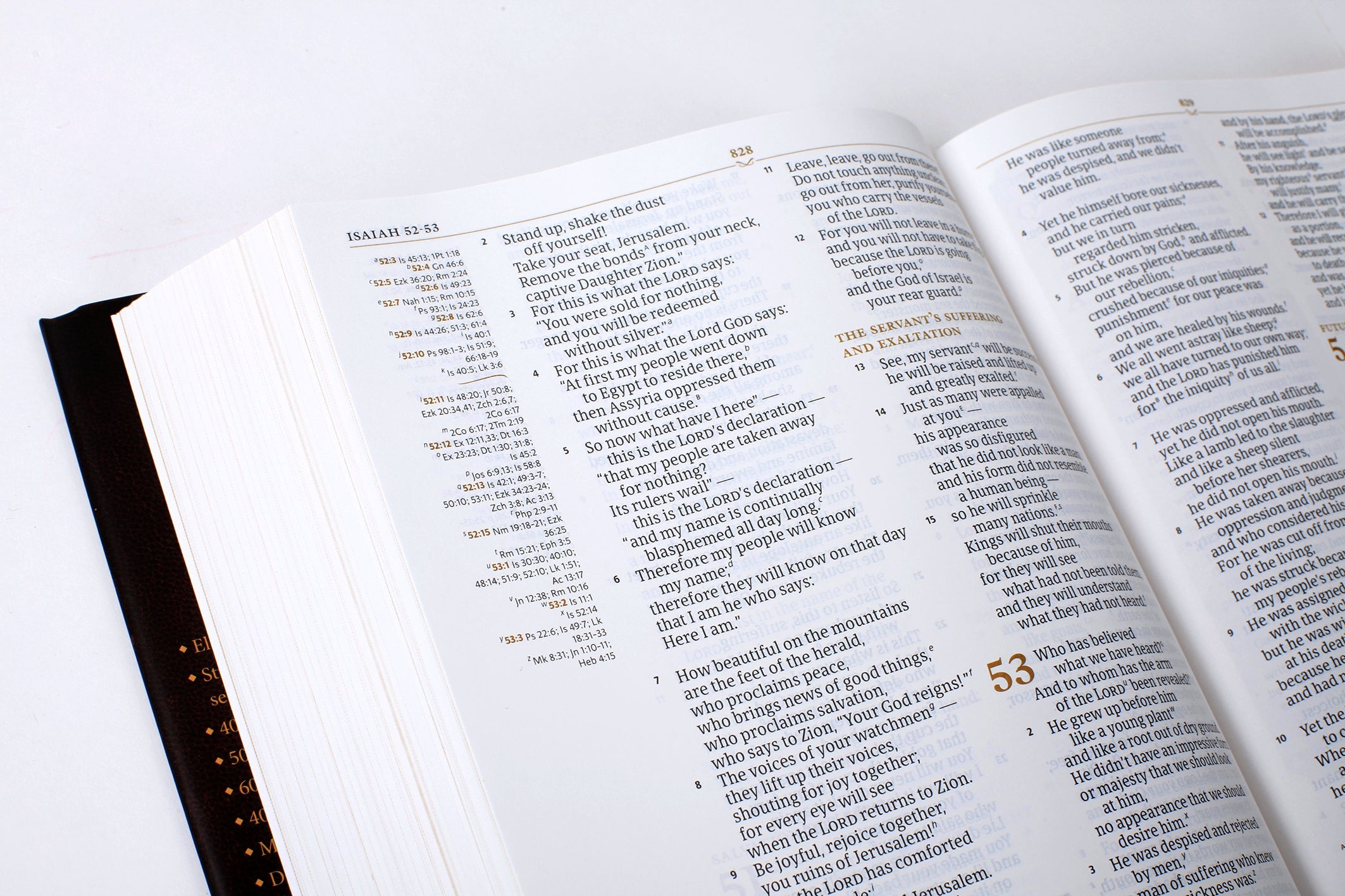 CSB Tony Evans Study Bible (Black Letter Edition)