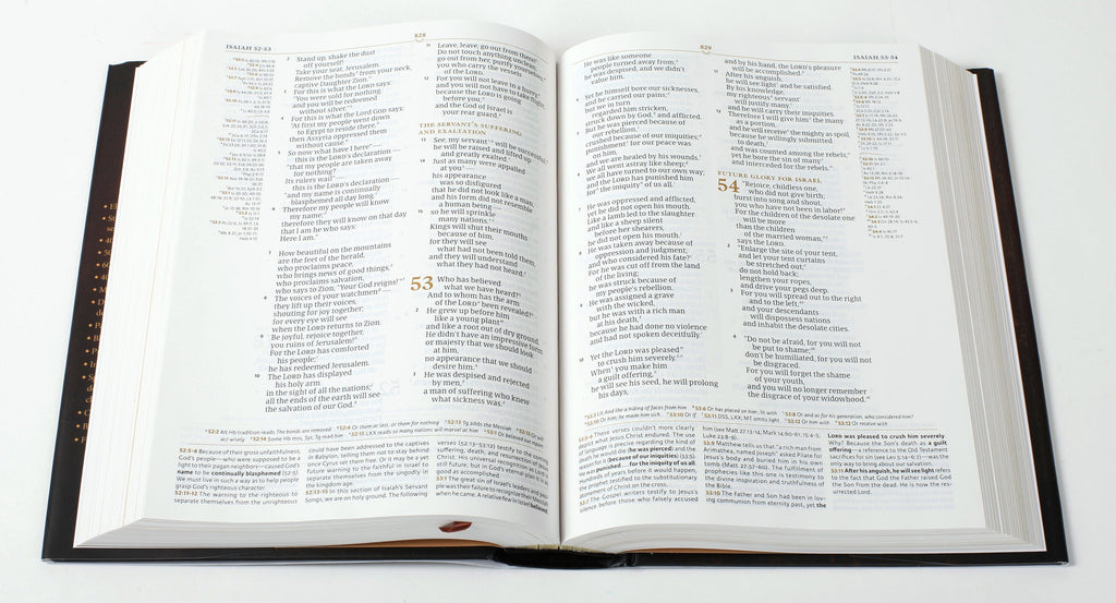 Elevate your faith with the CSB Tony Evans Study Bible, a premium study guide in black letter format