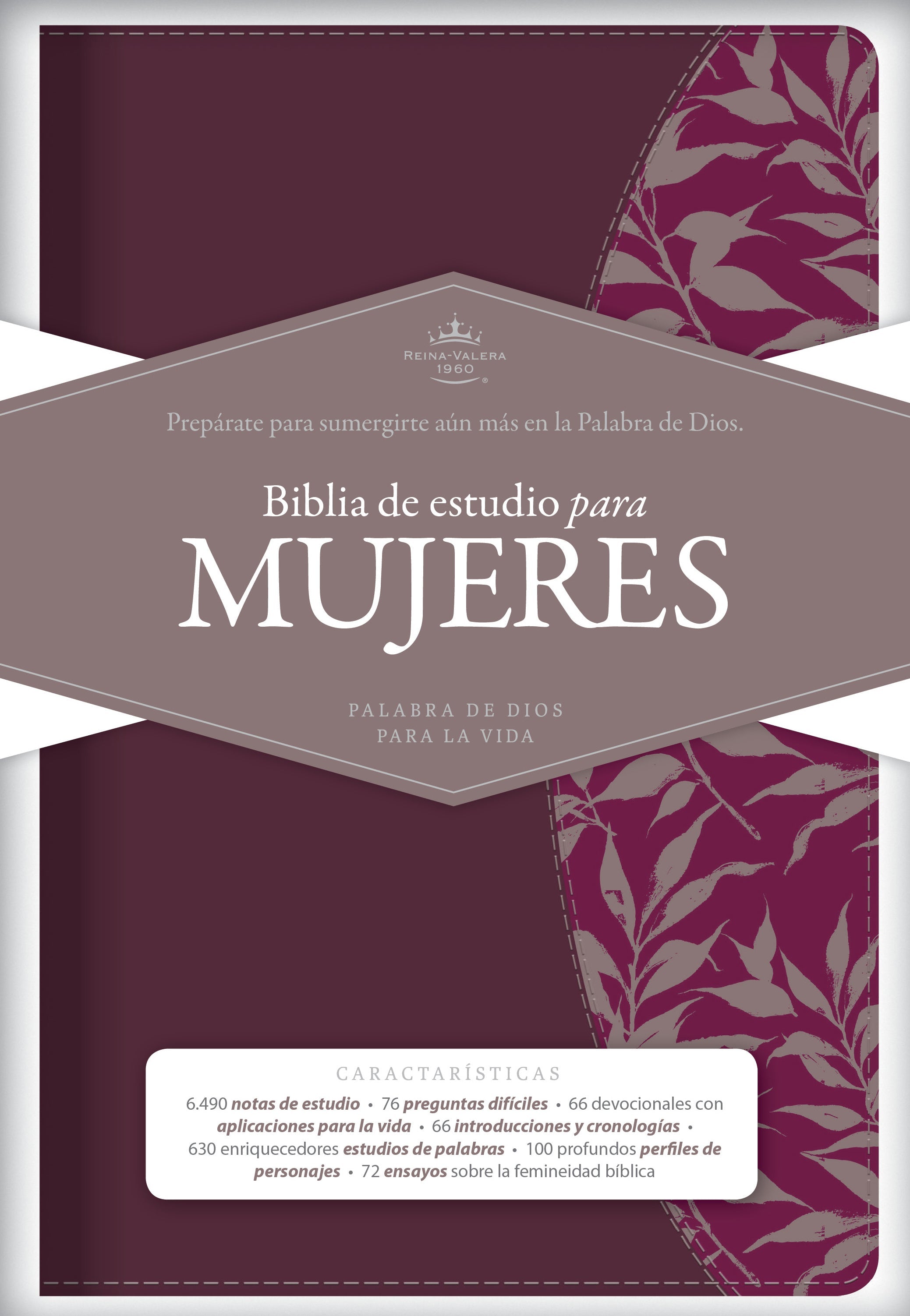 Study Spanish Bible in NIV translation, perfect for Spanish speakers and language learners.
