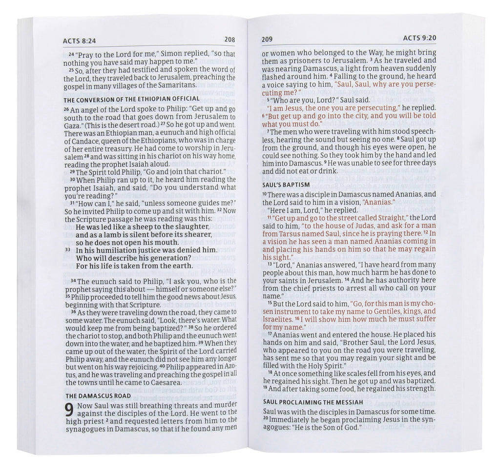 Discover divine wisdom in the exquisite CSB Christian Standard Bible New Testament