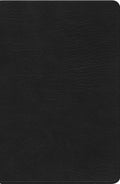 Bilingual Peshitta Bible Leather Bound in Foreign Language B Translation