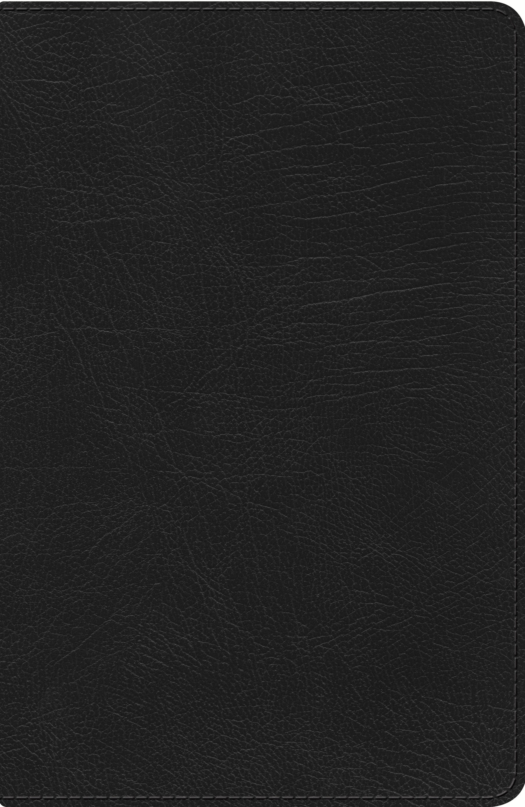 Bilingual Peshitta Bible Leather Bound in Foreign Language B Translation